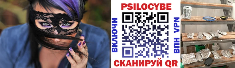 Галлюциногенные грибы Psilocybe  Зверево 