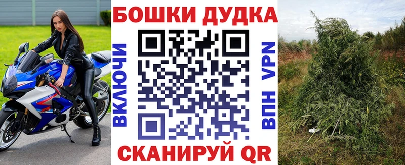 закладки  Зверево  Бошки марихуана ГИДРОПОН 